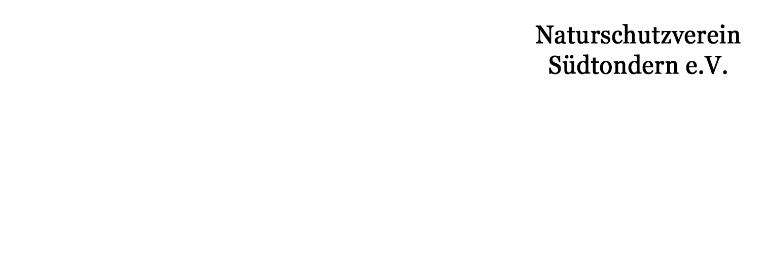 Header Logo Text2